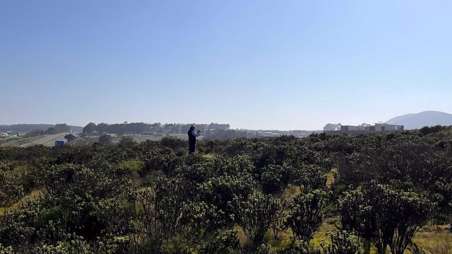 SITIO CON LINDA VISTA DE LA PLAYA (63414)