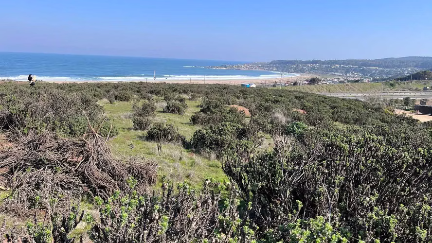 SITIO CON LINDA VISTA DE LA PLAYA (63414)