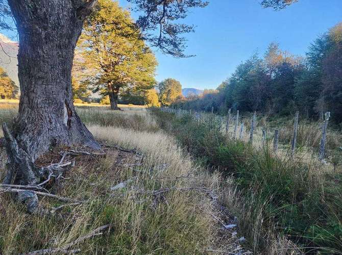 Aysén (63521) - Imagen 10