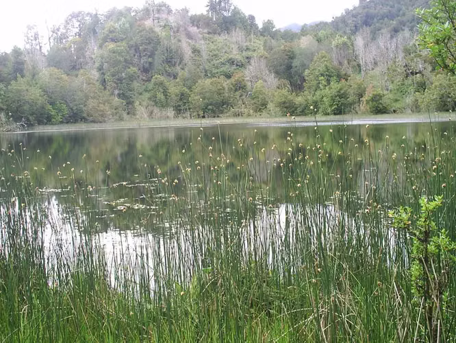 PUERTO BALLENA (63616)