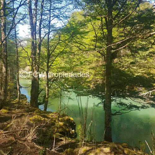RIO IBÁÑEZ (64786)