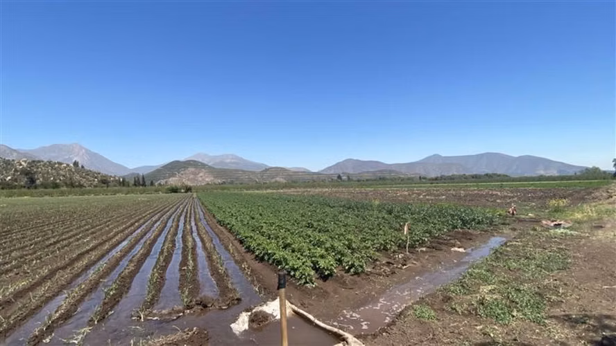 Las Peñas E 436 Llay-Llay (65552)