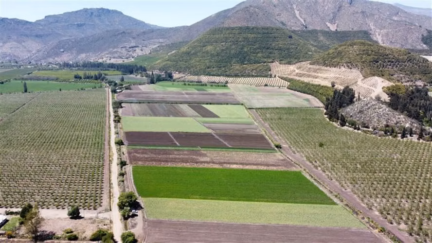 Las Peñas E 436 Llay-Llay (65552)