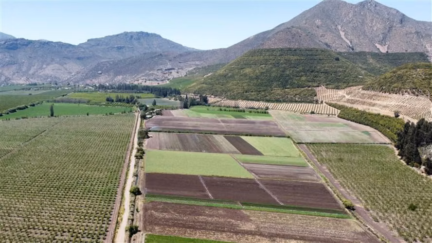 Las Peñas E 436 Llay-Llay (65552)