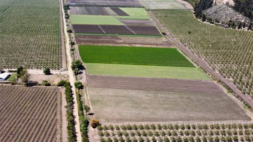 Las Peñas E 436 Llay-Llay (65552)