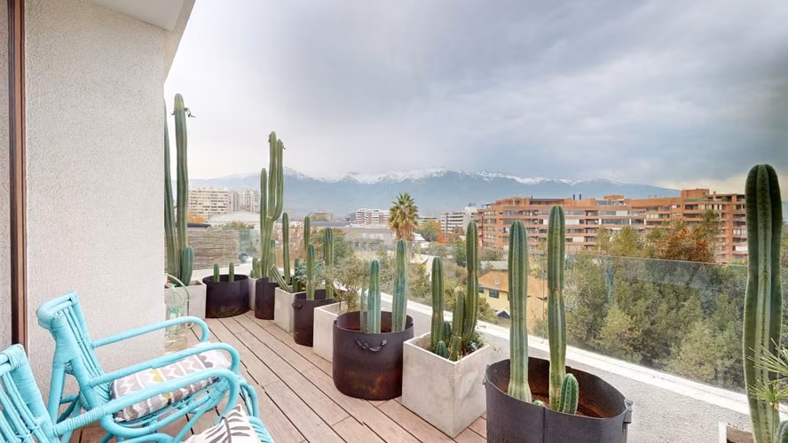 DEPARTAMENTO ULTIMO PISO (65999)