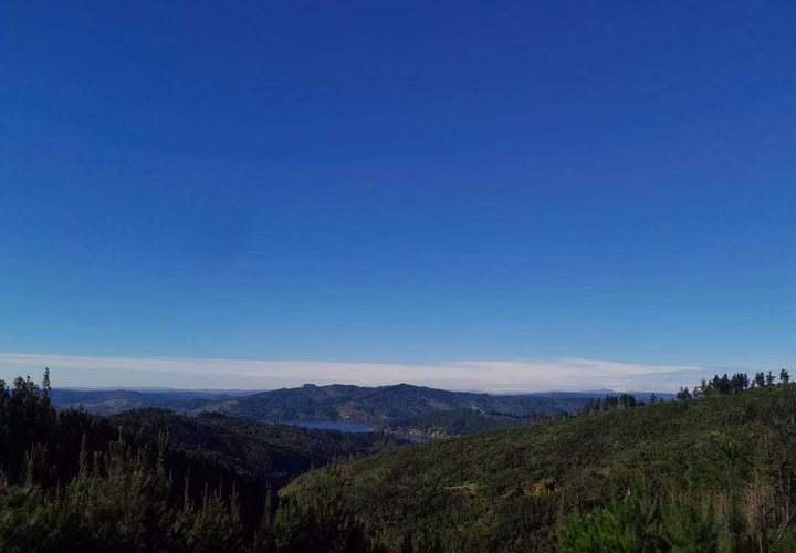 CAMINO REAL  (66486)