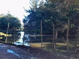 CAMINO REAL  (66486)