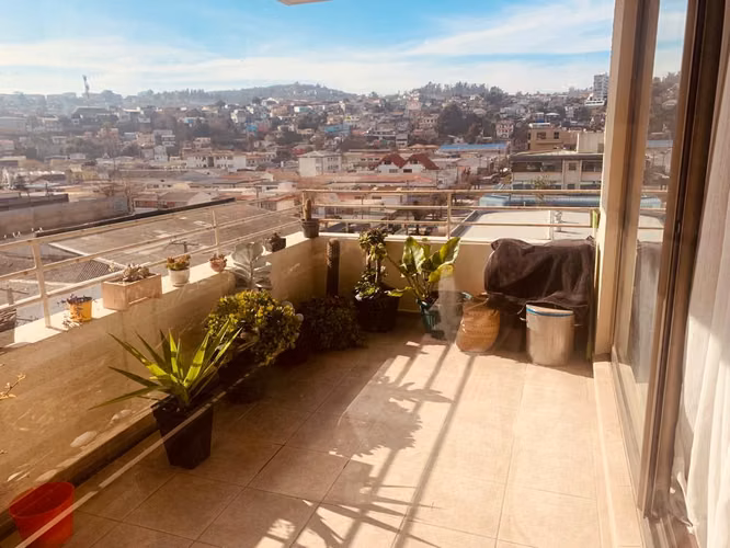 Hermoso y acogedor en plano de Viña del Mar (66350)