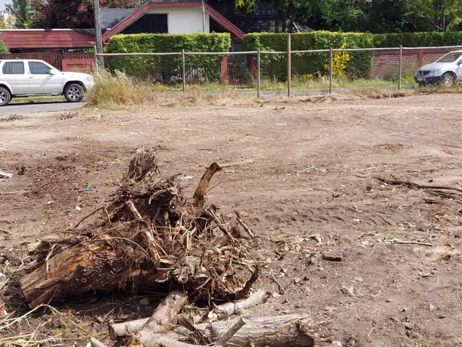 Sitio - Los Pensamientos (66330)