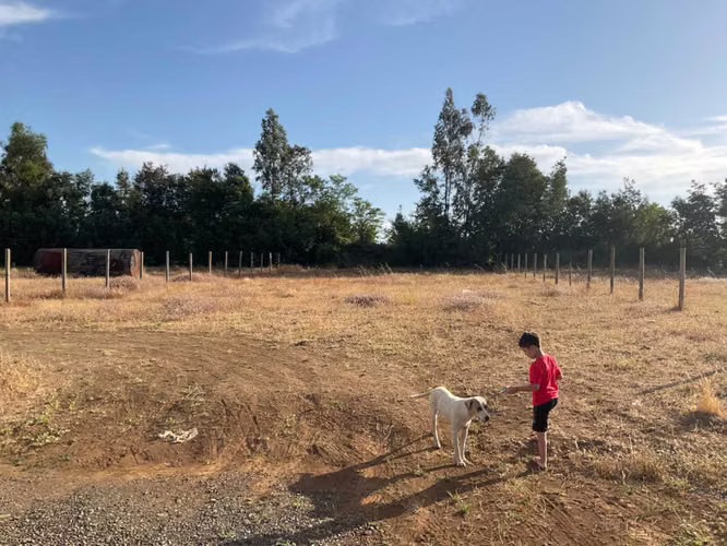 Terreno 1.130m2 - Bulnes (66326)
