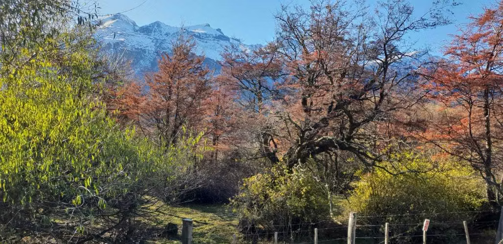 CERRO CASTILLO A MURTA (66608) - Imagen 10