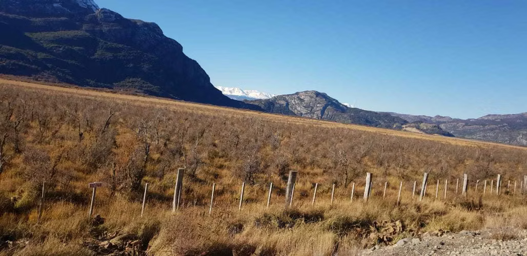 CERRO CASTILLO A MURTA (66608) - Imagen 2