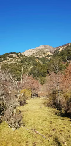 CERRO CASTILLO A MURTA (66608) - Imagen 7