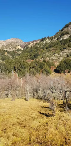 CERRO CASTILLO A MURTA (66608) - Imagen 11
