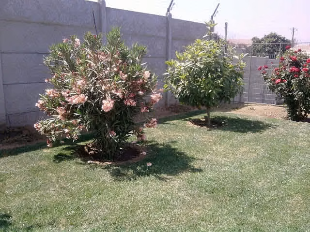 Excelente oportunidad, gran casa 7 dorm, 4 baños, Avda Eastman, Limache