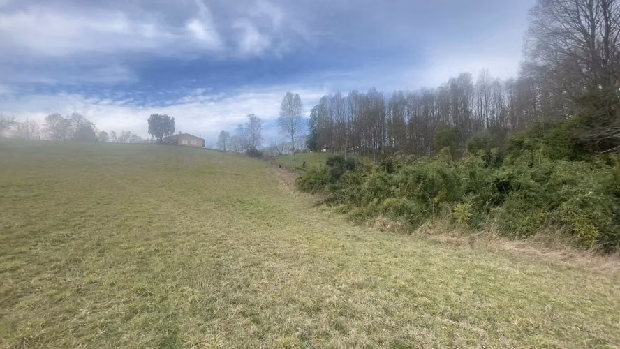 ENDO CAMPO 7 Ha CON CASA CAMINO HUICHAHUE  (66896)