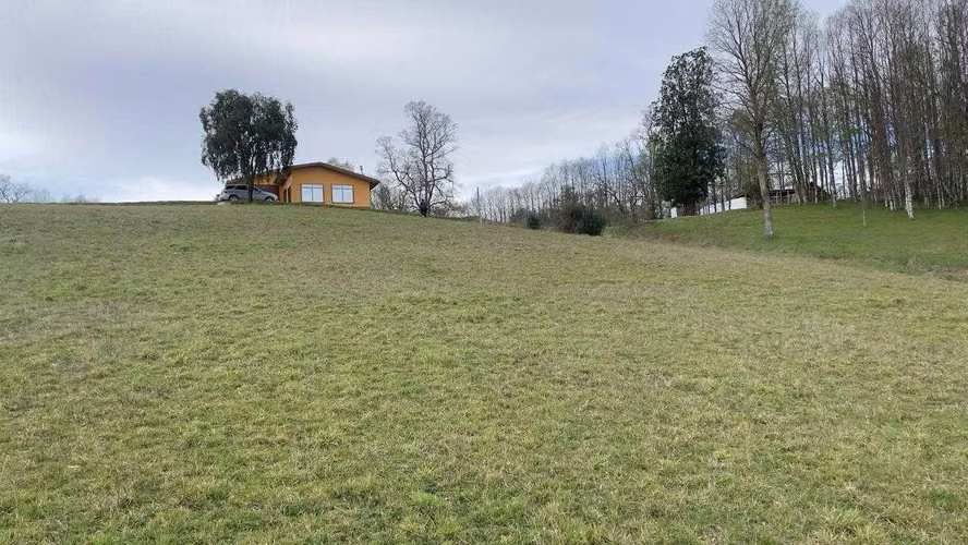 VENDO CAMPO 7 Ha CON CASA CAMINO HUICHAHUE  (66896)