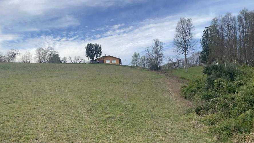 ENDO CAMPO 7 Ha CON CASA CAMINO HUICHAHUE  (66896)