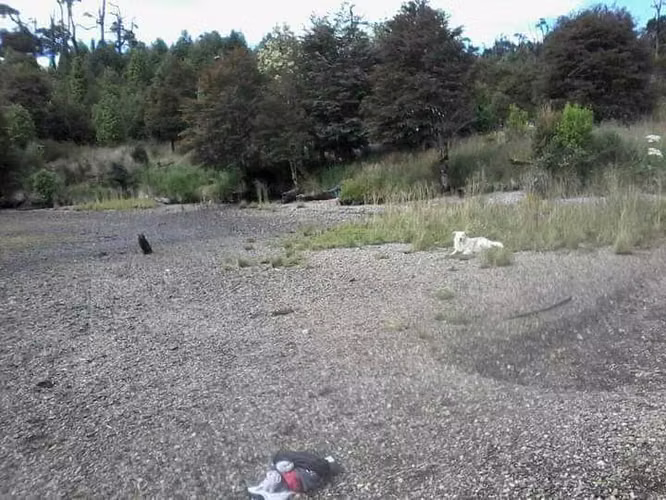 214 hectáreas Fiordo Aysén (66816)