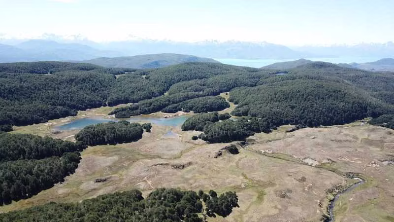 295 hectáreas, Río Maqui, Guadal (66810)