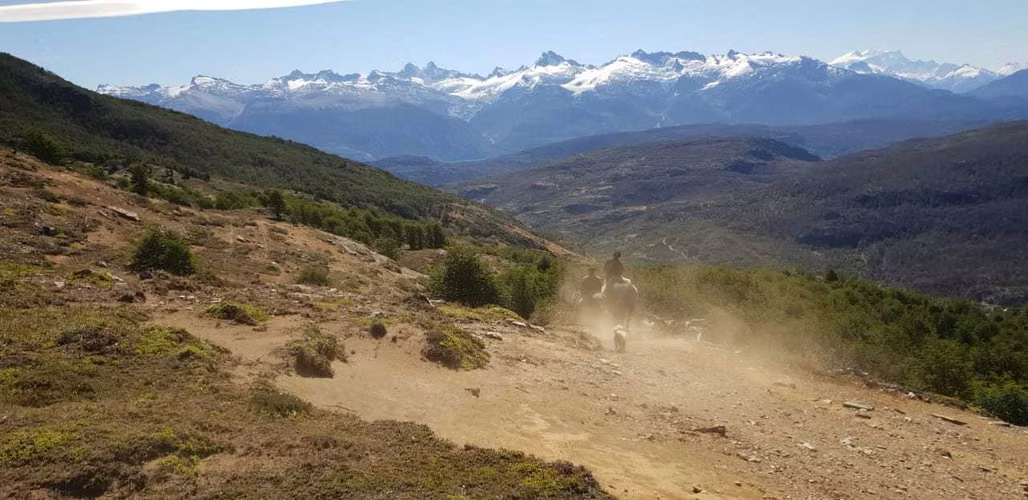 295 hectáreas, Río Maqui, Guadal (66810)