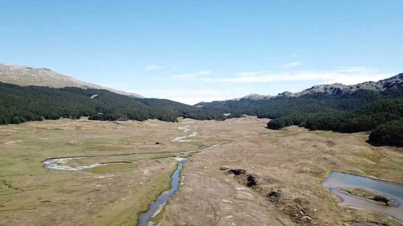 295 hectáreas, Río Maqui, Guadal (66810)