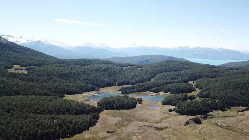 295 hectáreas, Río Maqui, Guadal (66810)