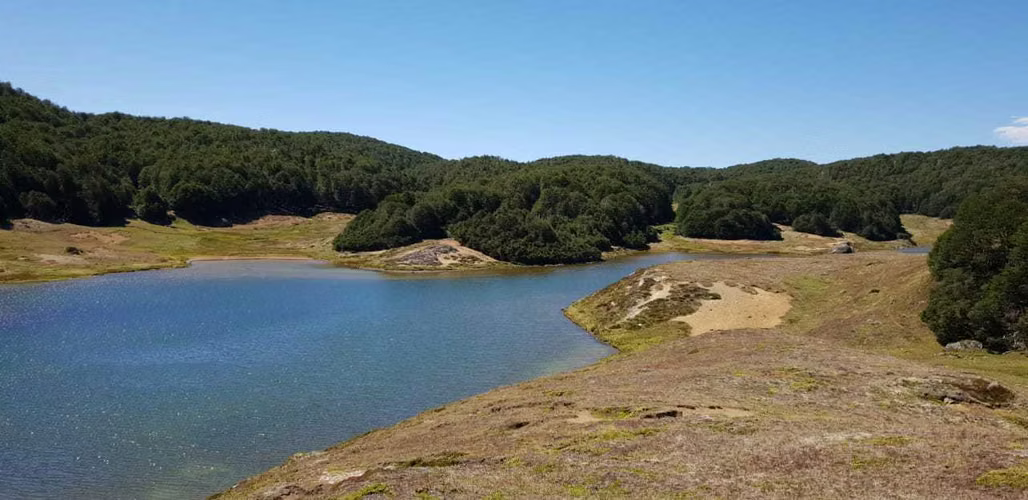 295 hectáreas, Río Maqui, Guadal (66810)