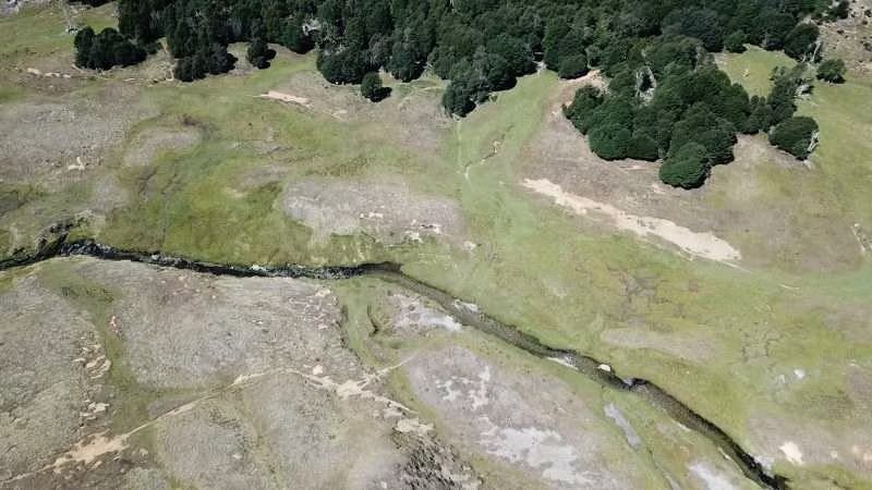 295 hectáreas, Río Maqui, Guadal (66810)