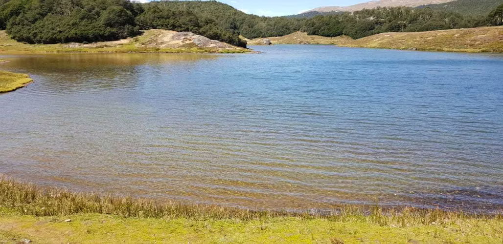 295 hectáreas, Río Maqui, Guadal (66810)