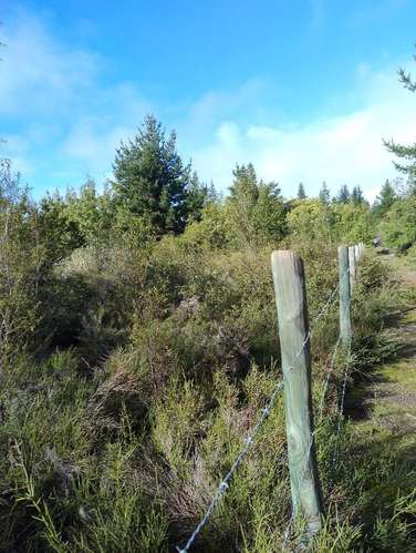 Excelentes terrenos en Unihue - Imagen 2