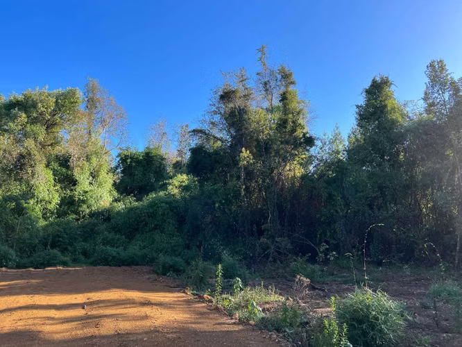 LOTEO DON JAIME / REGIÓN DE LOS LAGOS (67191)