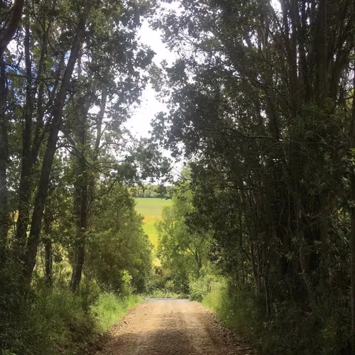 LOTEO DON JAIME / REGIÓN DE LOS LAGOS (67191)