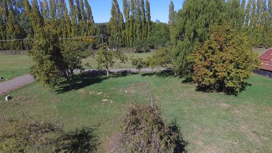 Exclusiva parcela, Lomas del Bosque (67399)