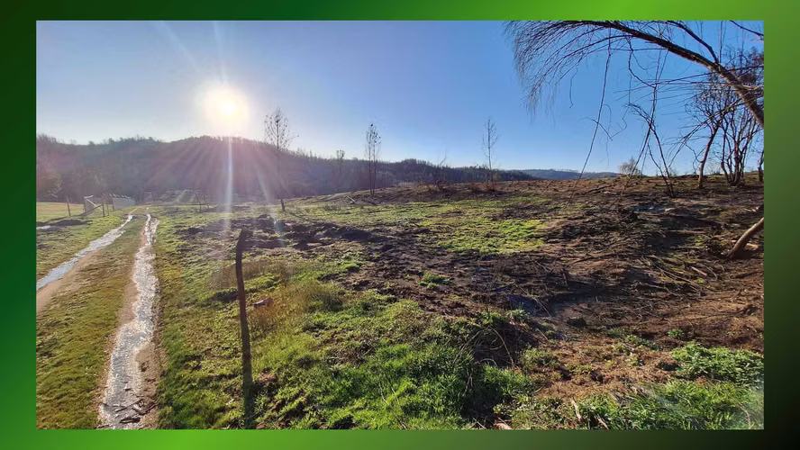 TERRENOS EN VENTA, COLICO BAJO, SANTA AJUAN (67692)