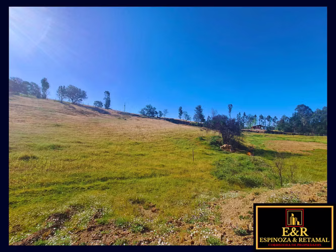 Exclusivas Pacelas en Curali, Santa Juana  (67675)