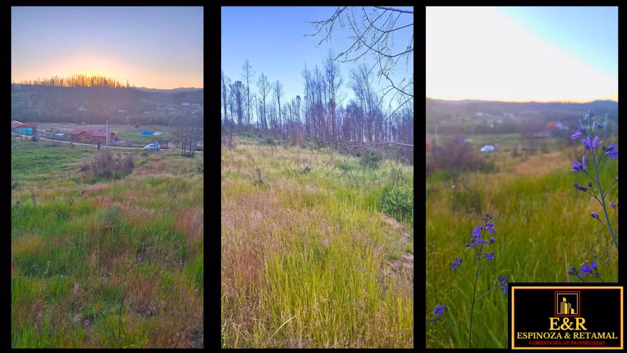 TERRENO SECTOR LAS ARENITAS , SANTA JUANA  (67674)
