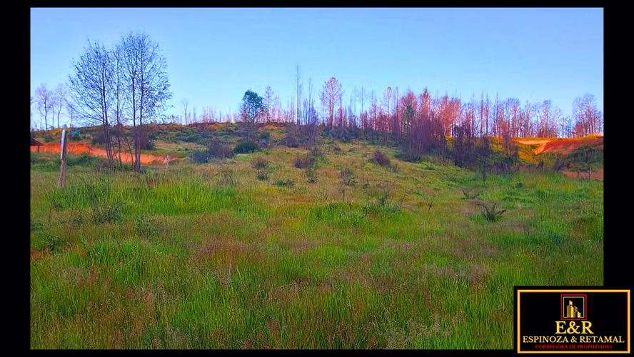 TERRENO SECTOR LAS ARENITAS , SANTA JUANA  (67674)