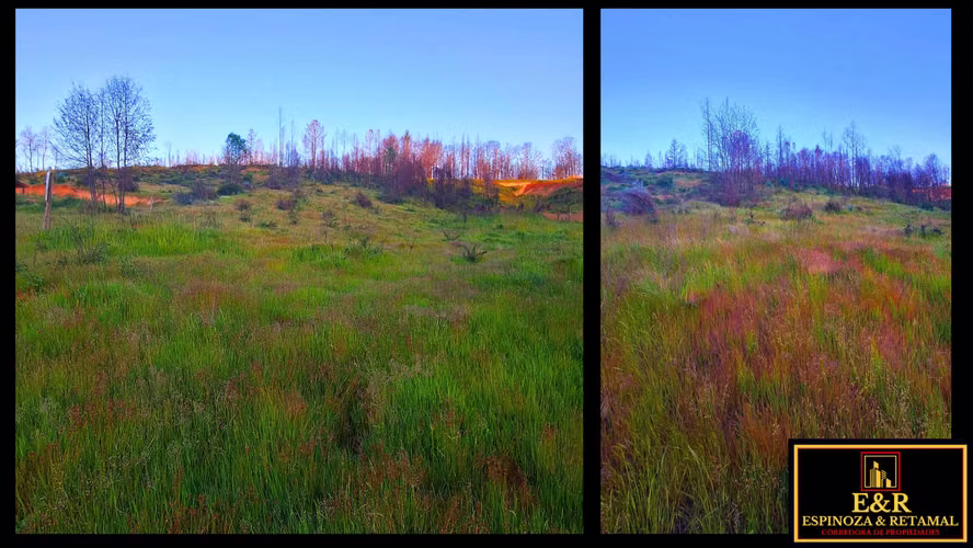 TERRENO SECTOR LAS ARENITAS , SANTA JUANA  (67674)