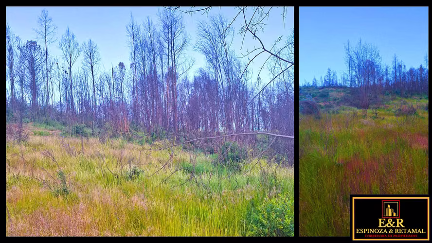 TERRENO SECTOR LAS ARENITAS , SANTA JUANA  (67674)