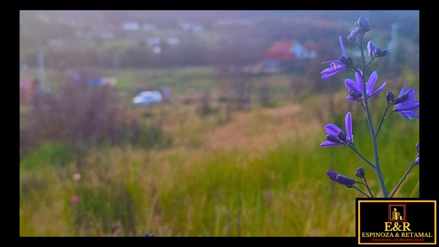 TERRENO SECTOR LAS ARENITAS , SANTA JUANA  (67674)