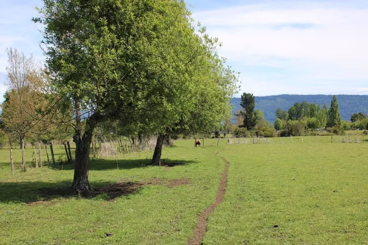 Terreno, sector El Encanto. Puyehue (68282)
