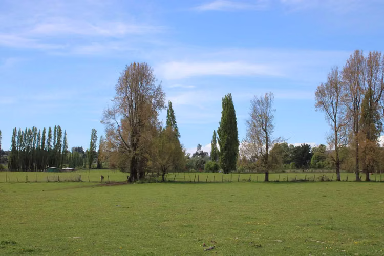 Terreno, sector El Encanto. Puyehue (68282)