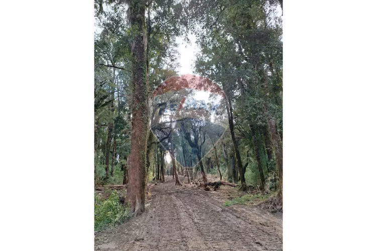 Se vende/atención promoción/uf10.800 20 hectáreas