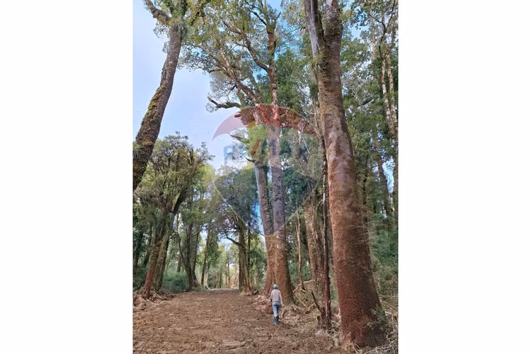 Se vende/atención promoción/uf10.800 20 hectáreas