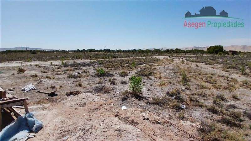 PARCELA Lote en venta en el Sector La Isla - Copiapó - Imagen 4
