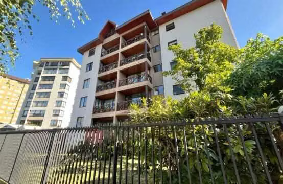 VENDO LINDO DEPTO EN CALLE HOLANDESA (68683)