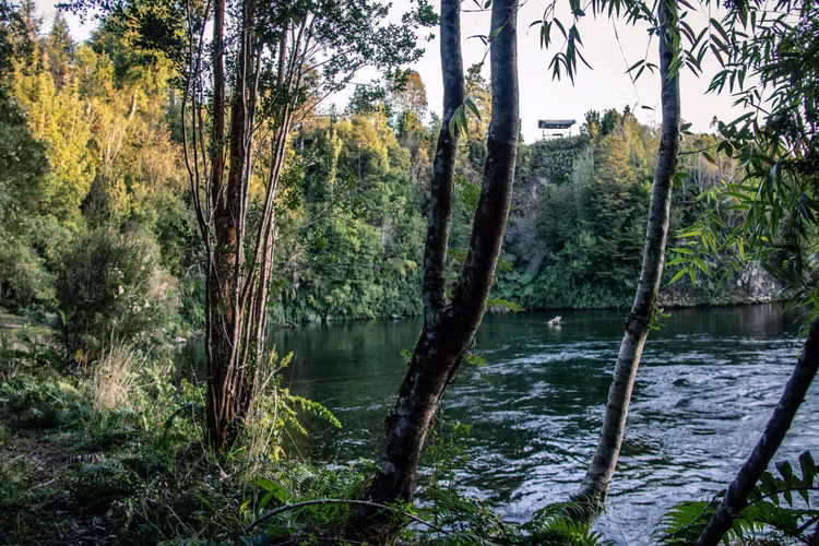 Lotes en Proyecto Ecológico, Hualaihue (69399)