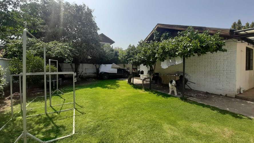 VENTA PROPIEDAD EN AVENIDA COLON  (69284) - Imagen 6